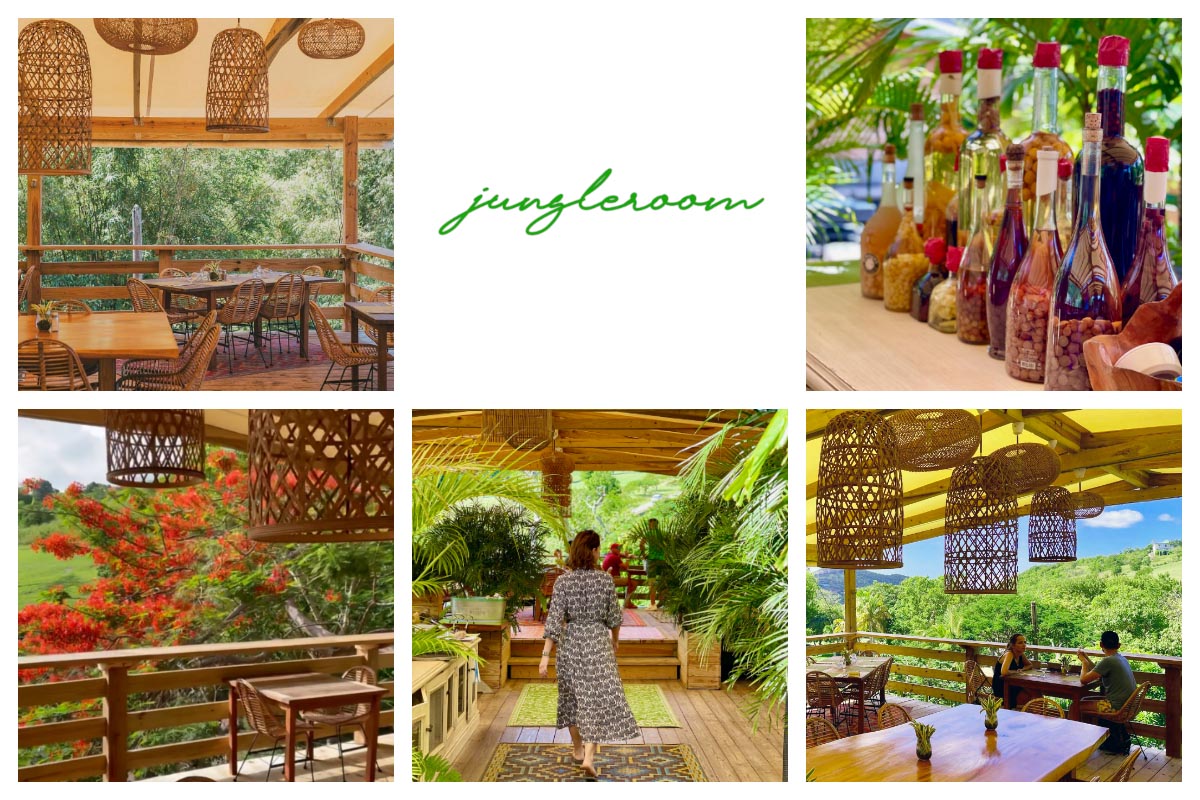 Jungleroom Restaurant and Cocktail bar - Open every day for for Lunch and Dinner with lots of green, nature escape S