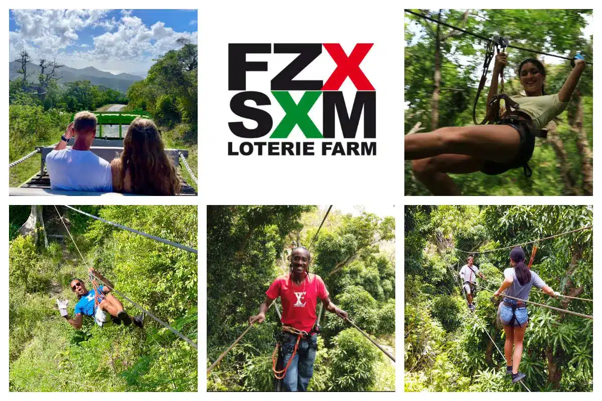 Loterie farm, your exacape in nature: Pool, Zipline, Restaurant, Bar, Hike.