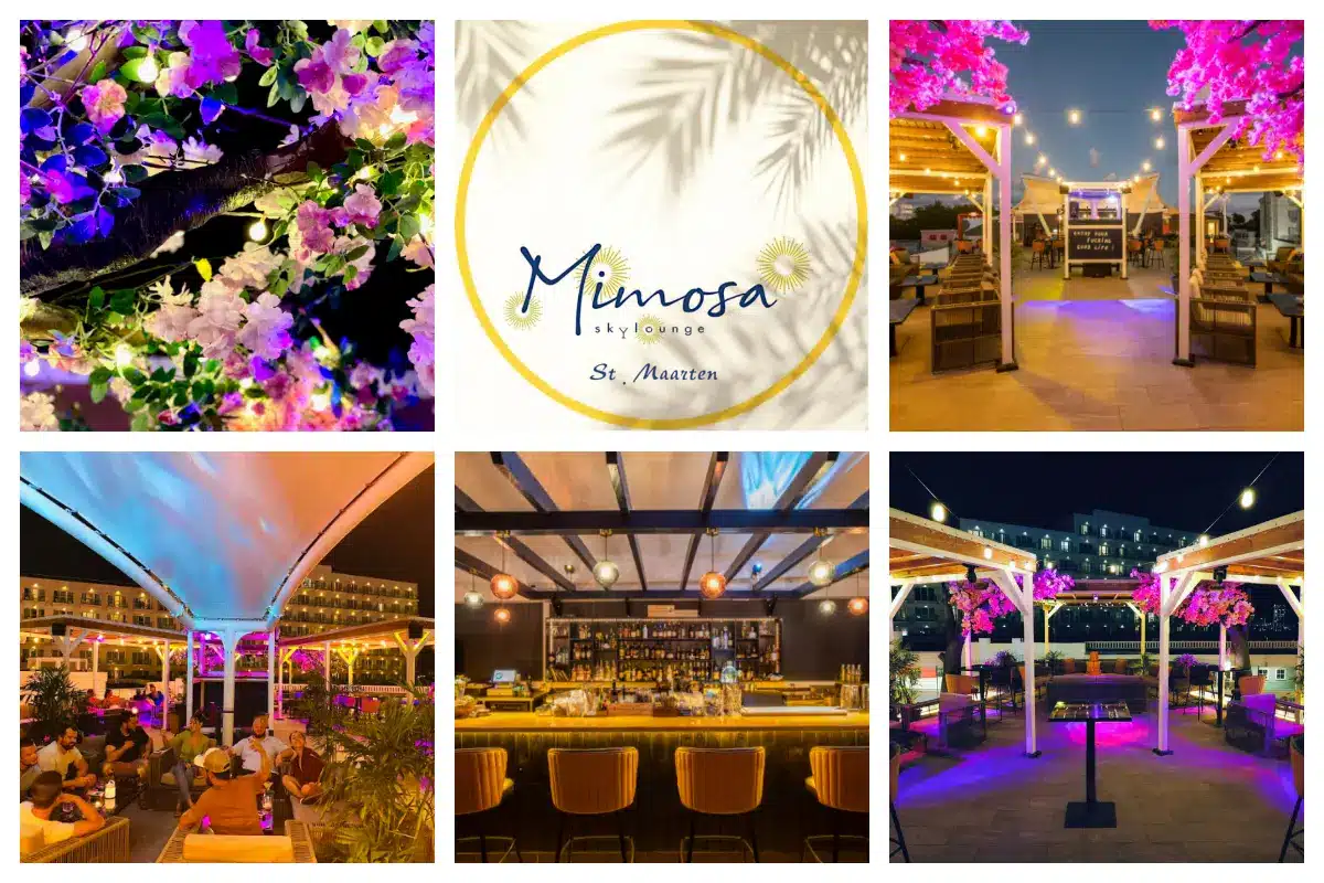 Mimosa Sky Lounge - Rooftop Cocktail and tapas bar in Maho - Gazebo & Japanese cherry tree L