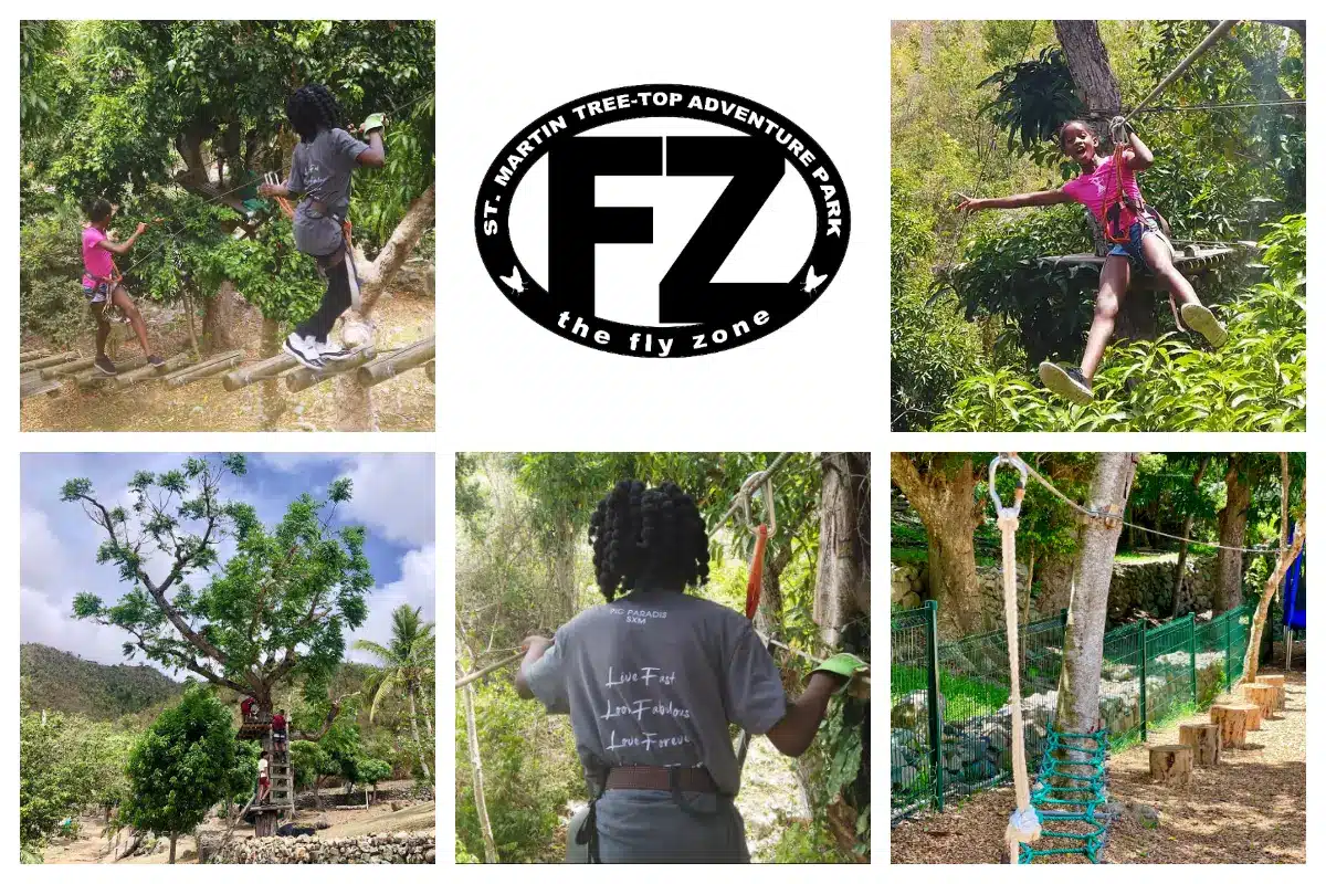 The Flyzone - Tree top adventure course at Loterie Farm - Kids Activity