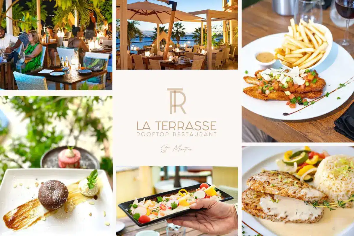 La Terrasse French Cuisine - Egg Cocotte, Salads, Cordon Blue - Amazing dishes