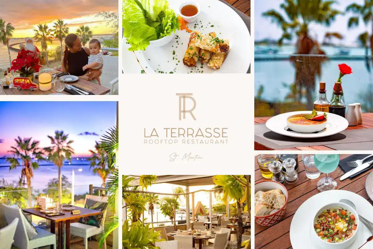 La Terrasse French Cuisine - Egg Cocotte, Salads, Cordon Blue - Amazing dishes