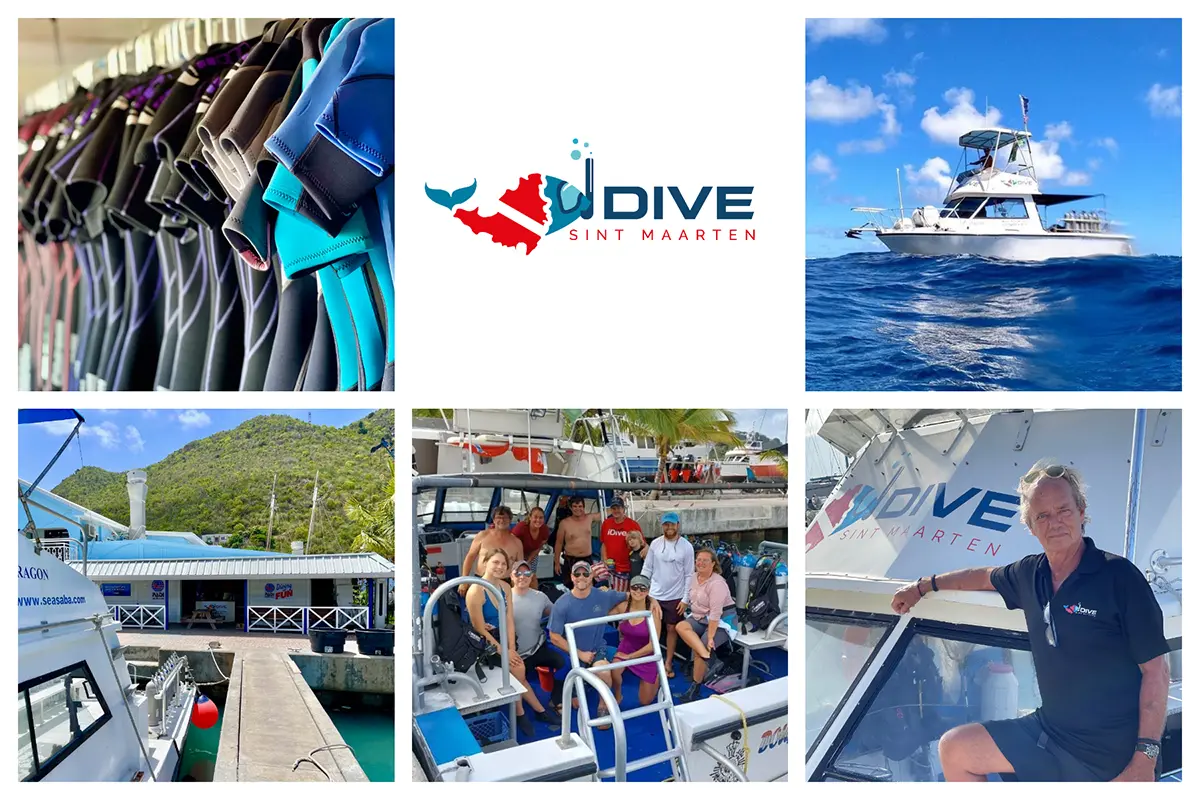 Dive Sint Maarten - Diving from Philipsburg in SXM - Close to Cruise port