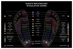 Gudo Reflexogy Stimulation Zones