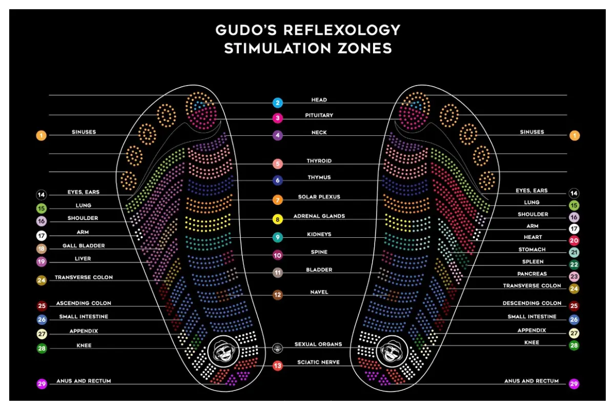 Gudo Reflexogy Stimulation Zones