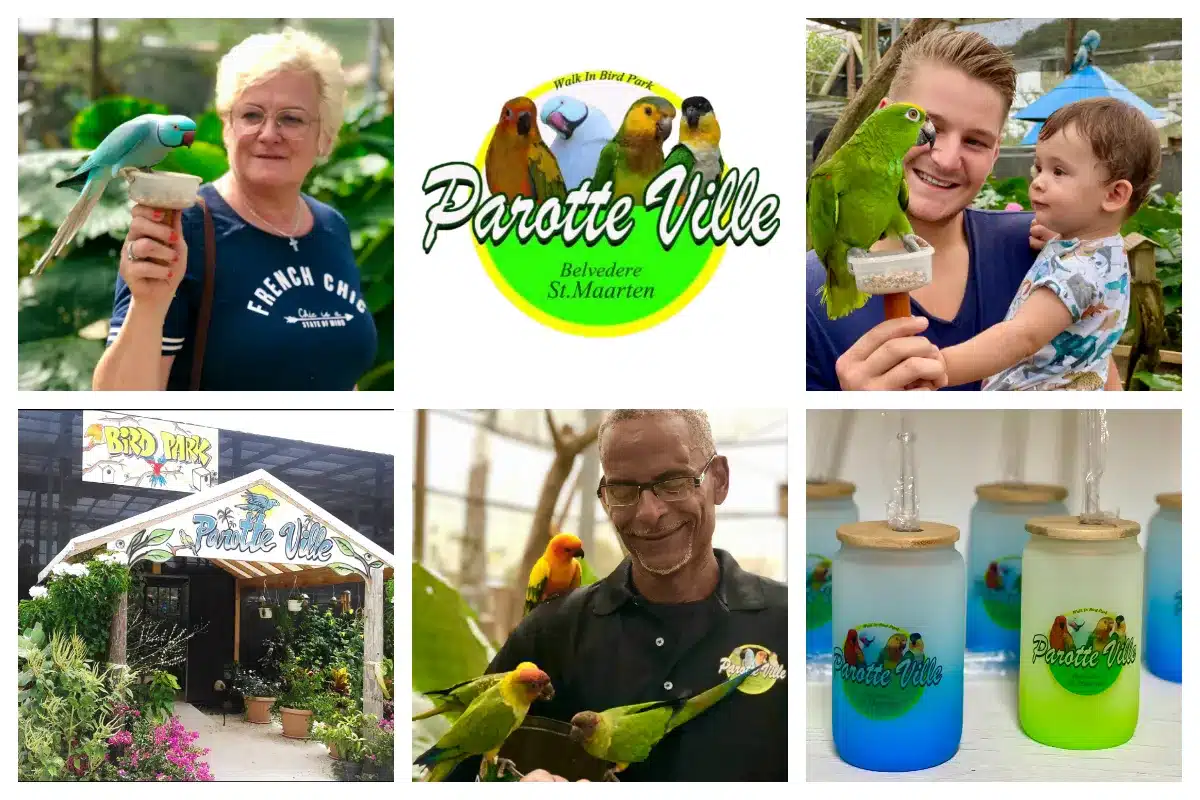 Parotte Ville - Birdpark in St Maarten, George will show you all the birds