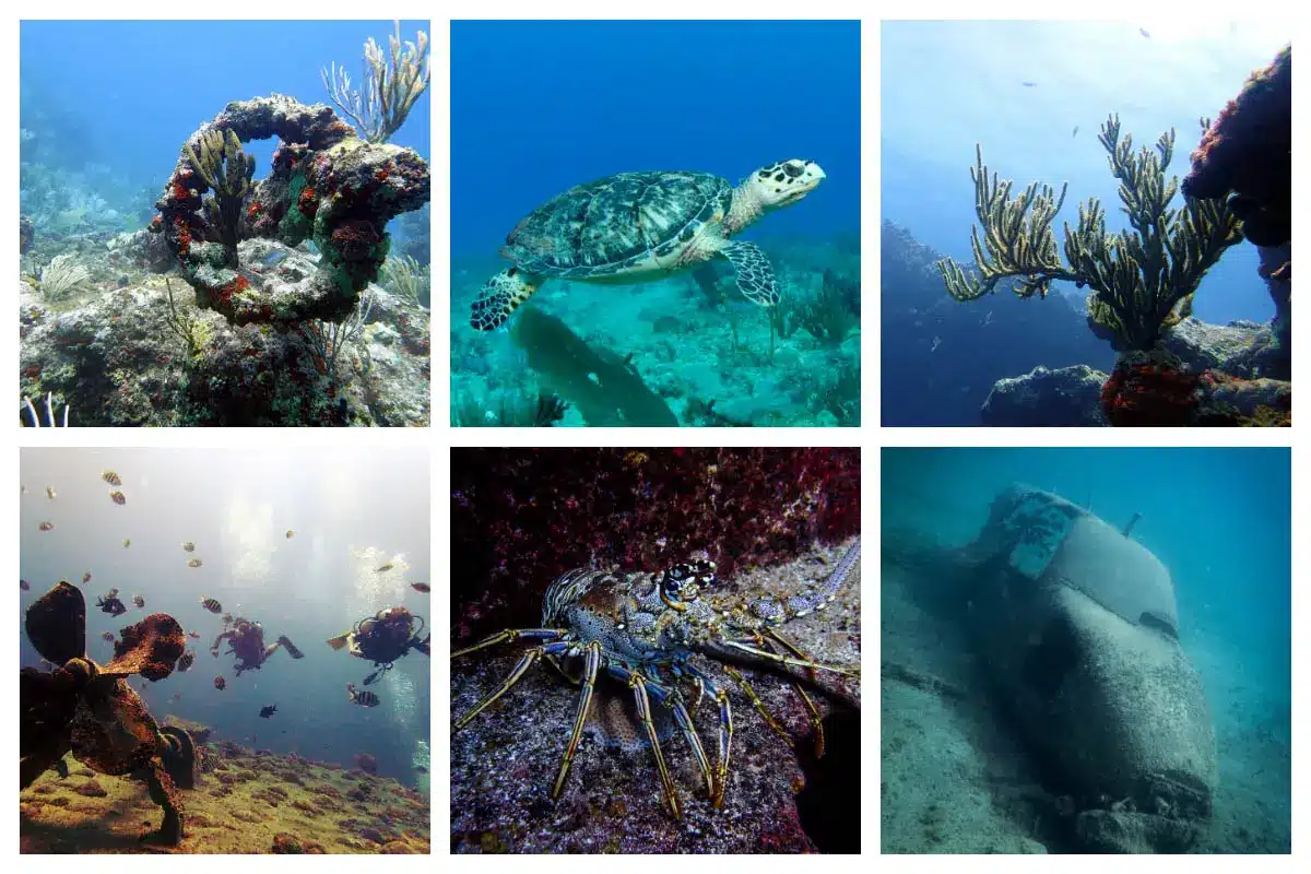 Sunken Plane, Anchor, Coral formation in the Caribbean, St Martin Diving, Dive in SXM